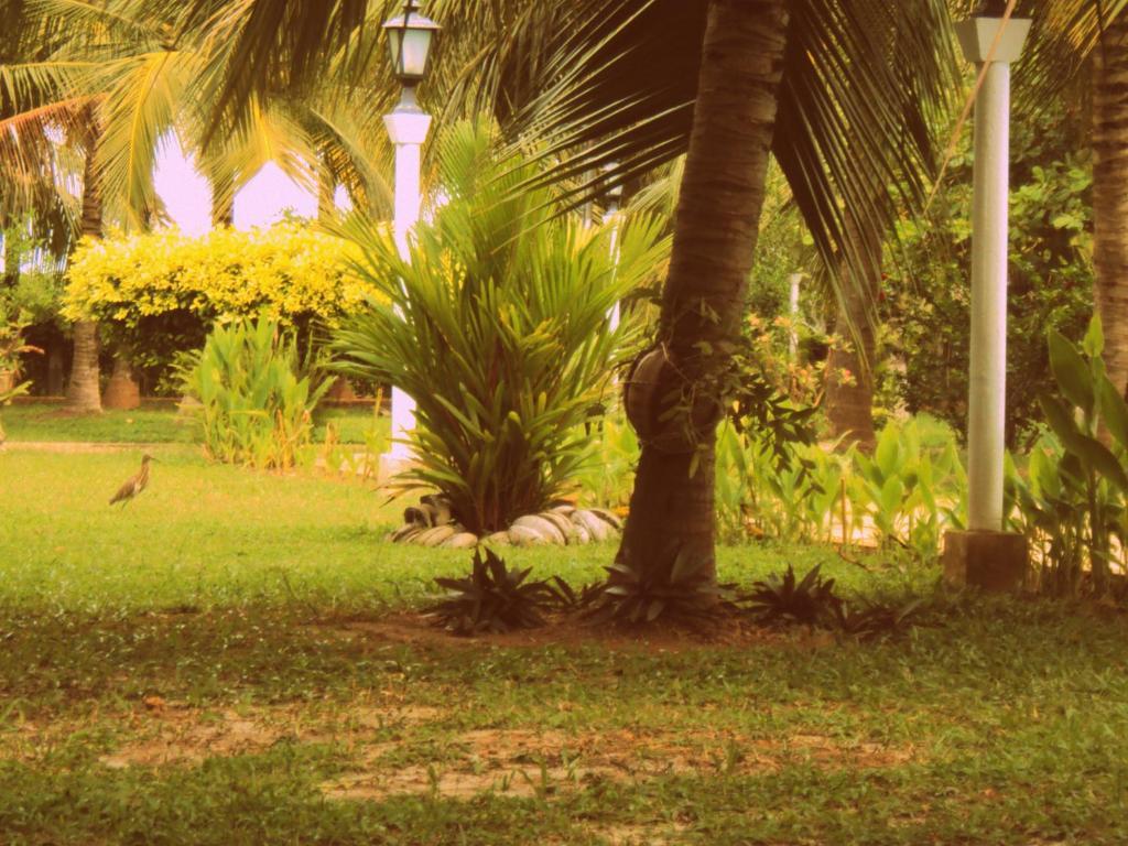 Hotel Lagoon Paradise Negombo Kültér fotó