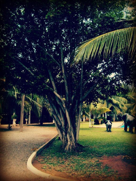 Hotel Lagoon Paradise Negombo Kültér fotó