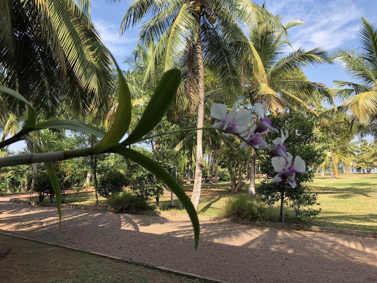 Hotel Lagoon Paradise Negombo Kültér fotó