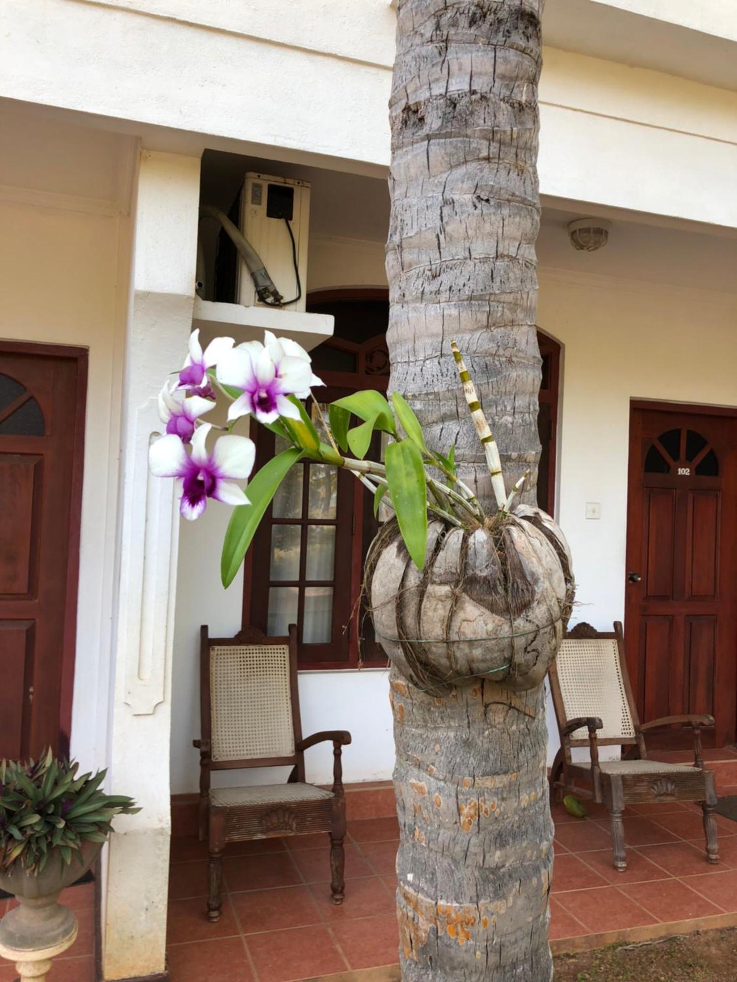 Hotel Lagoon Paradise Negombo Kültér fotó
