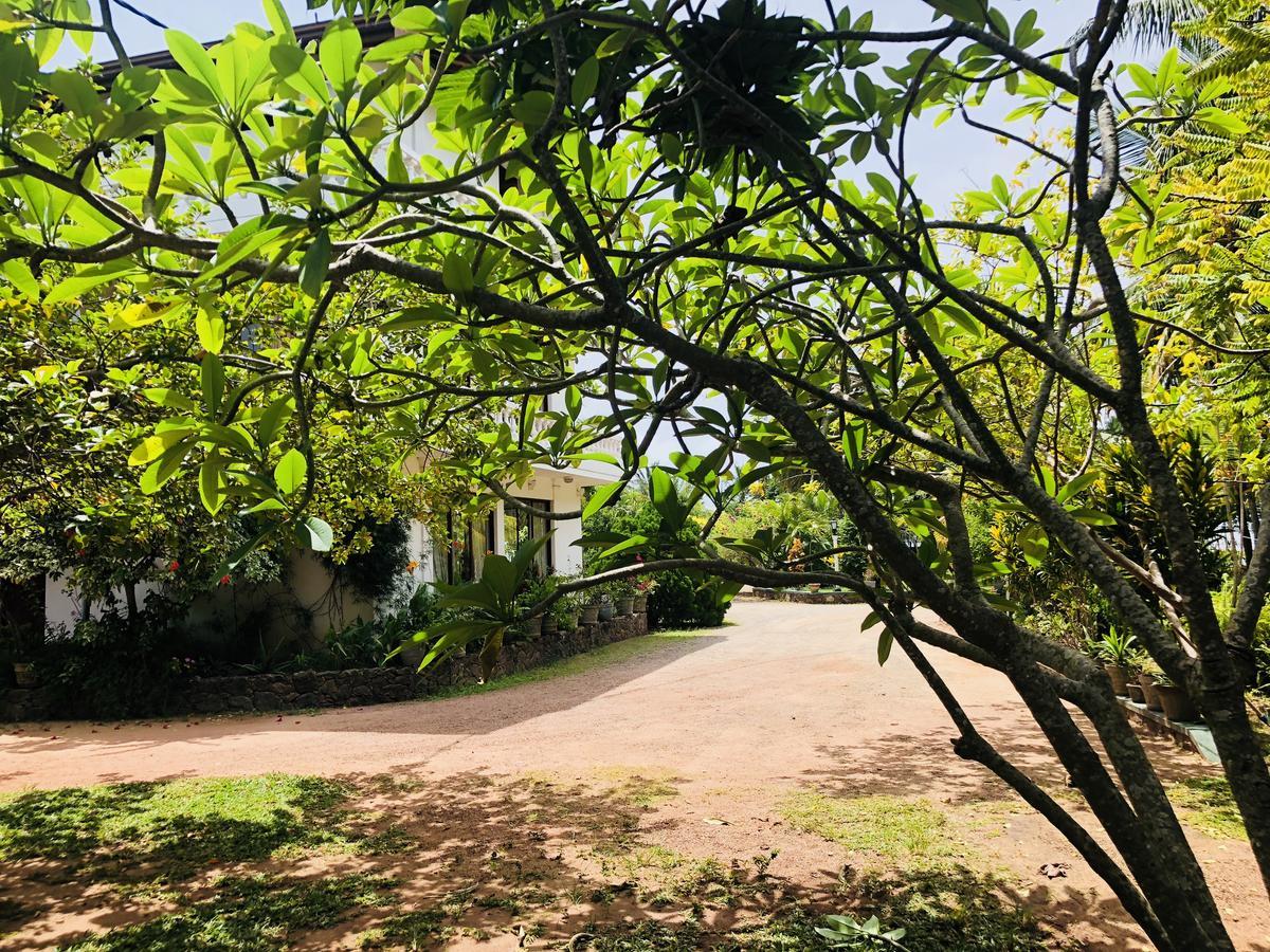 Hotel Lagoon Paradise Negombo Kültér fotó