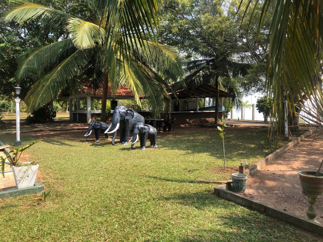 Hotel Lagoon Paradise Negombo Kültér fotó